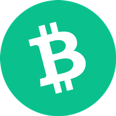 BCH 图标 - 加密货币 BCH